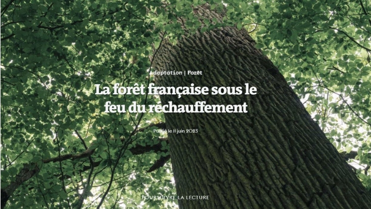 Le Monde dévoile son projet lié au réchauffement climatique