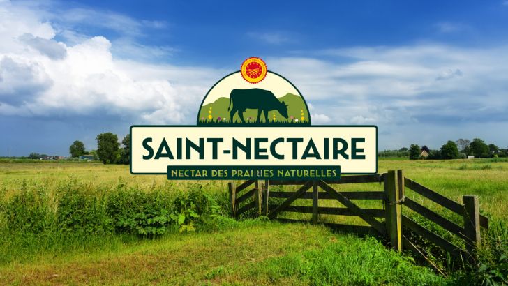 AllMatik et l’interprofession du Saint-Nectaire : une campagne pour renforcer la notoriété