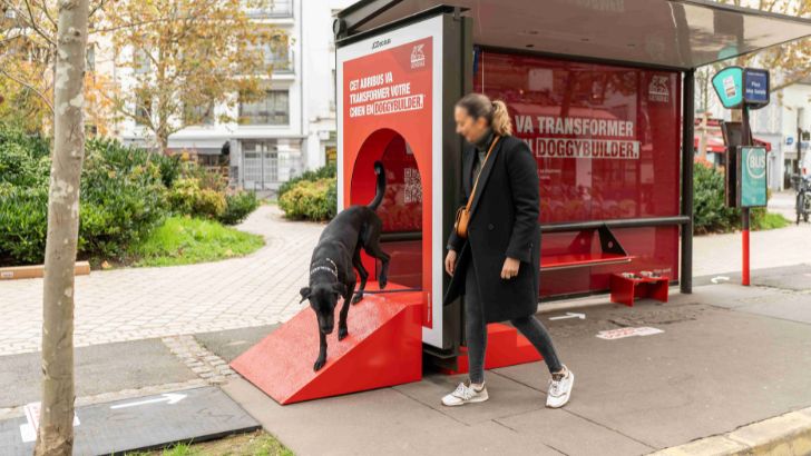 JCDecaux transforme un abribus pour le lancement de la plateforme « Urban Doggy Fit » de Generali