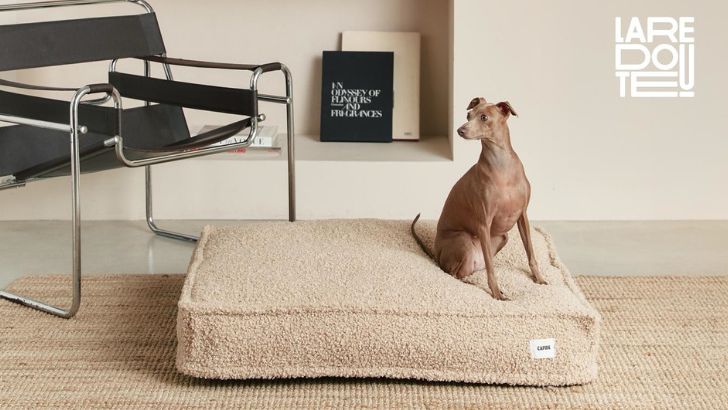 Marketplace : La Redoute investit le marché du Pet Care
