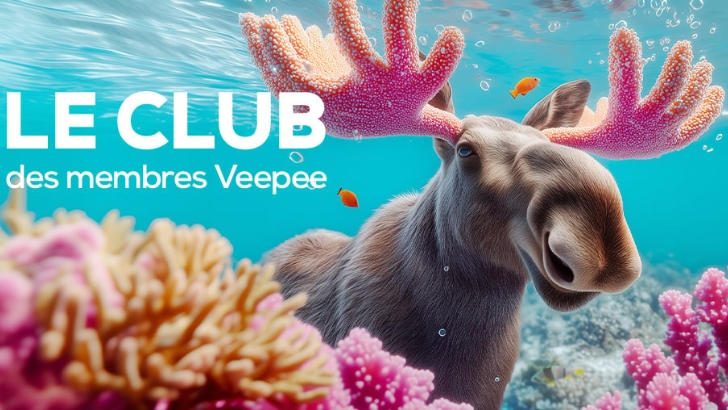 Retail Media : le Club des membres Veepee veut plus de synergies avec les réseaux sociaux