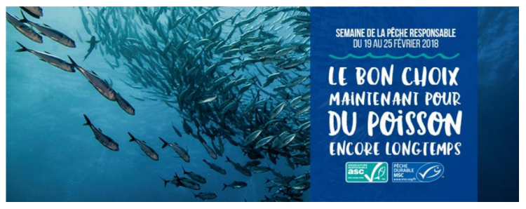 Les labels MSC et ASC retiennent la régie Planète-Verte pour la Semaine de la pêche responsable