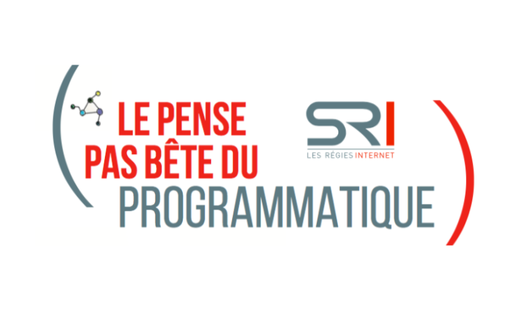 Le lexique du programmatique du SRI