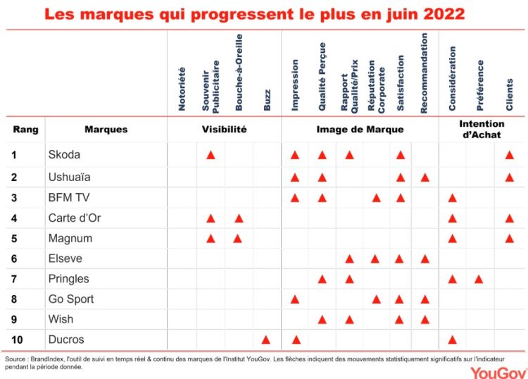 BrandIndex : Skoda est la marque qui progresse le plus en juin, devant Ushuaïa et BFM TV